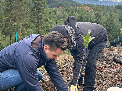 Timo Kolleth und Andrea Breisacher, die gerade ein Setzling pflanzen im wald